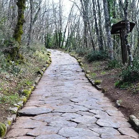 Appartamento Rocca Di Papa * Rocca Di Papa